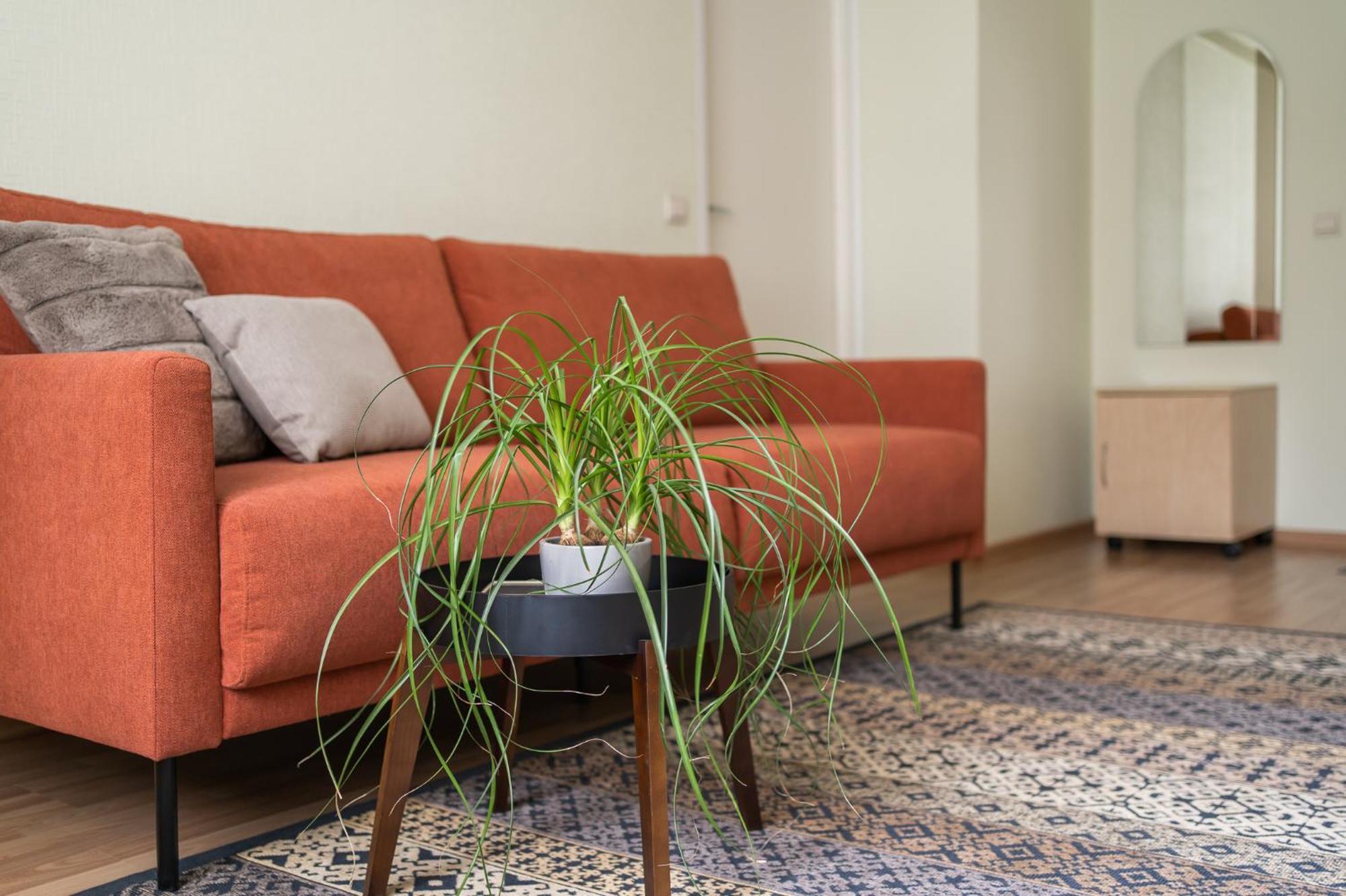 Virumaa Hostel Kohtla-Järve Esterno foto